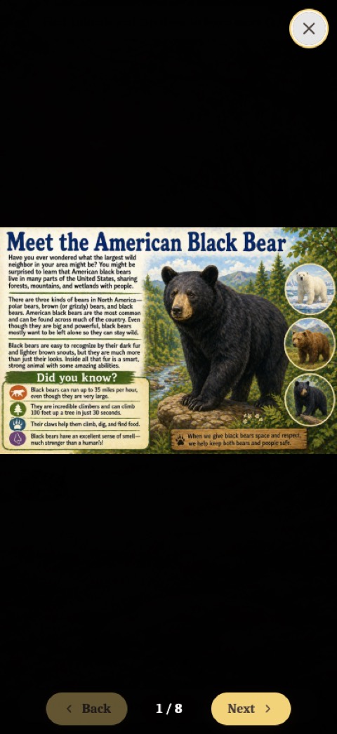An animal card open on a phone: Meet the American Black Bear, with photographs, facts, and paging controls.